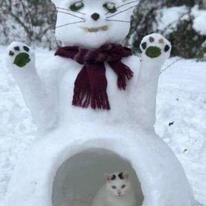 Meet your Posher, Di